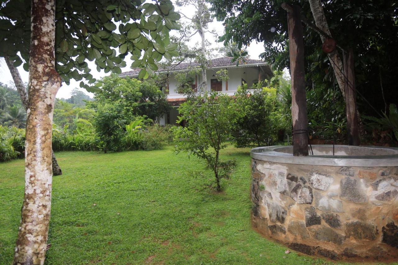Halcyon Galle Exterior photo